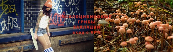 кокаин Алексин