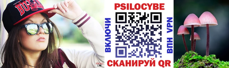 купить наркотик  Переславль-Залесский  Галлюциногенные грибы Psilocybe 