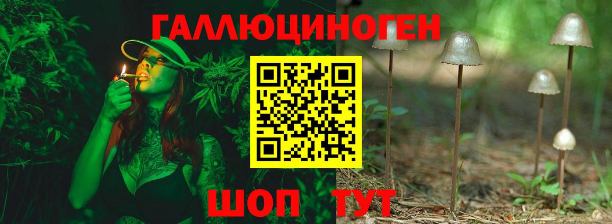 Псилоцибиновые грибы прущие грибы Переславль-Залесский